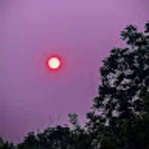 Meet your Posher, Micah